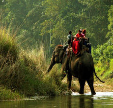 3 Nights Kathmandu, 2 Nights Chitwan & 1 Night Nagarkot